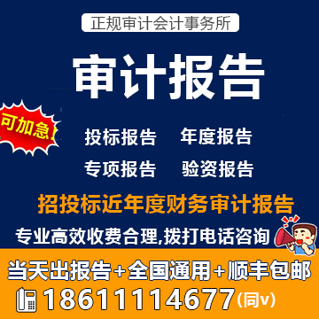 财务审计报告主要内容是什么